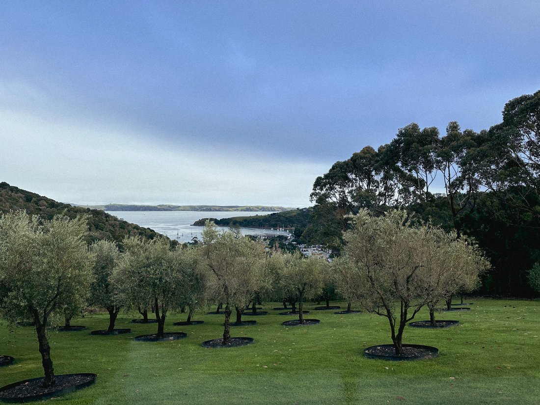 Stay at Matiatia House - Waiheke Island