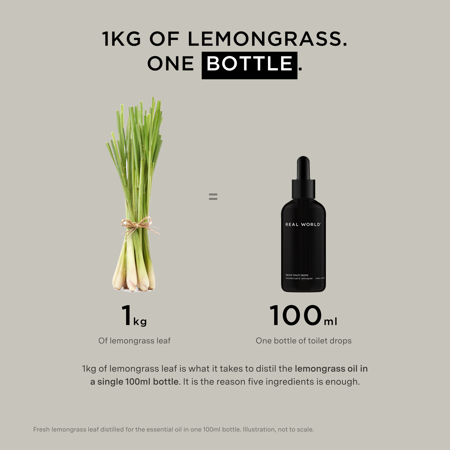 Lemongrass