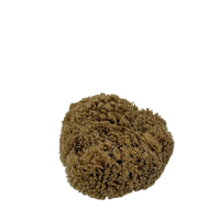 Sea Sponge - Natural Mediterranean