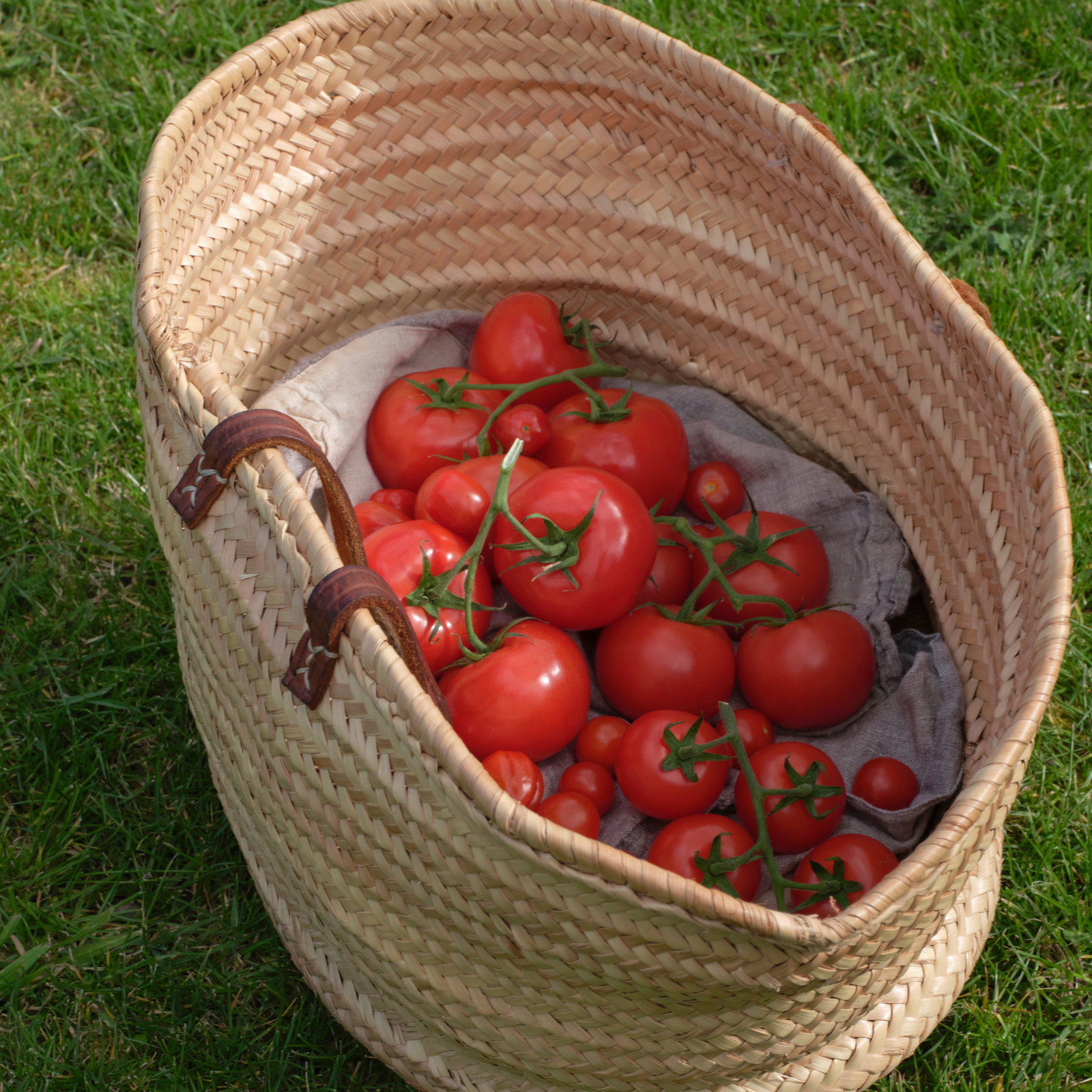 Tomato Leaves Bench Spray Refill 1000ml