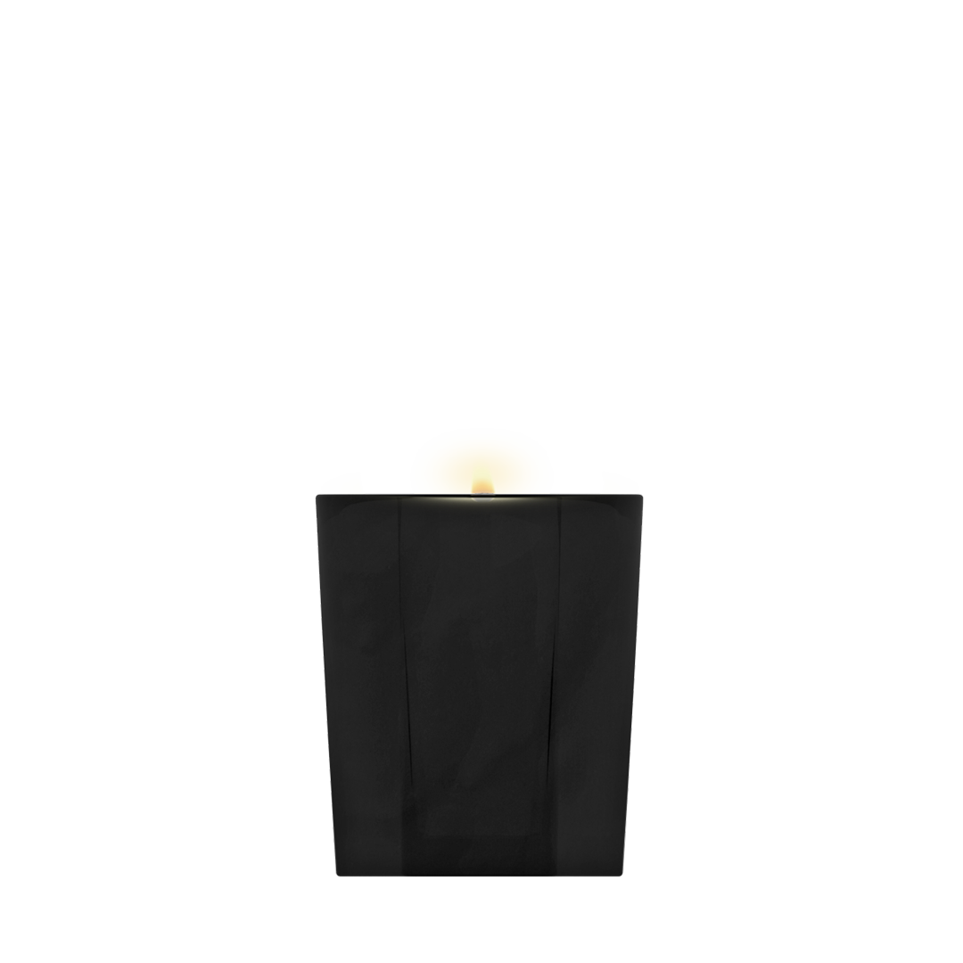 Amipere & Moss Bark Candle