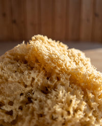 Sea Sponge - Natural Mediterranean