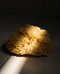 Sea Sponge - Natural Mediterranean