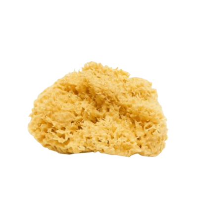Sea Sponge - Natural Mediterranean