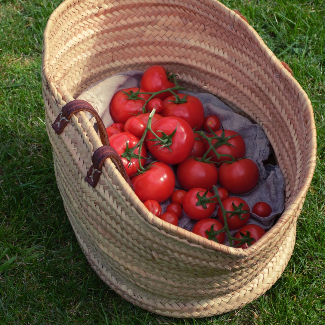 Tomato Leaves Dishwashing Liquid