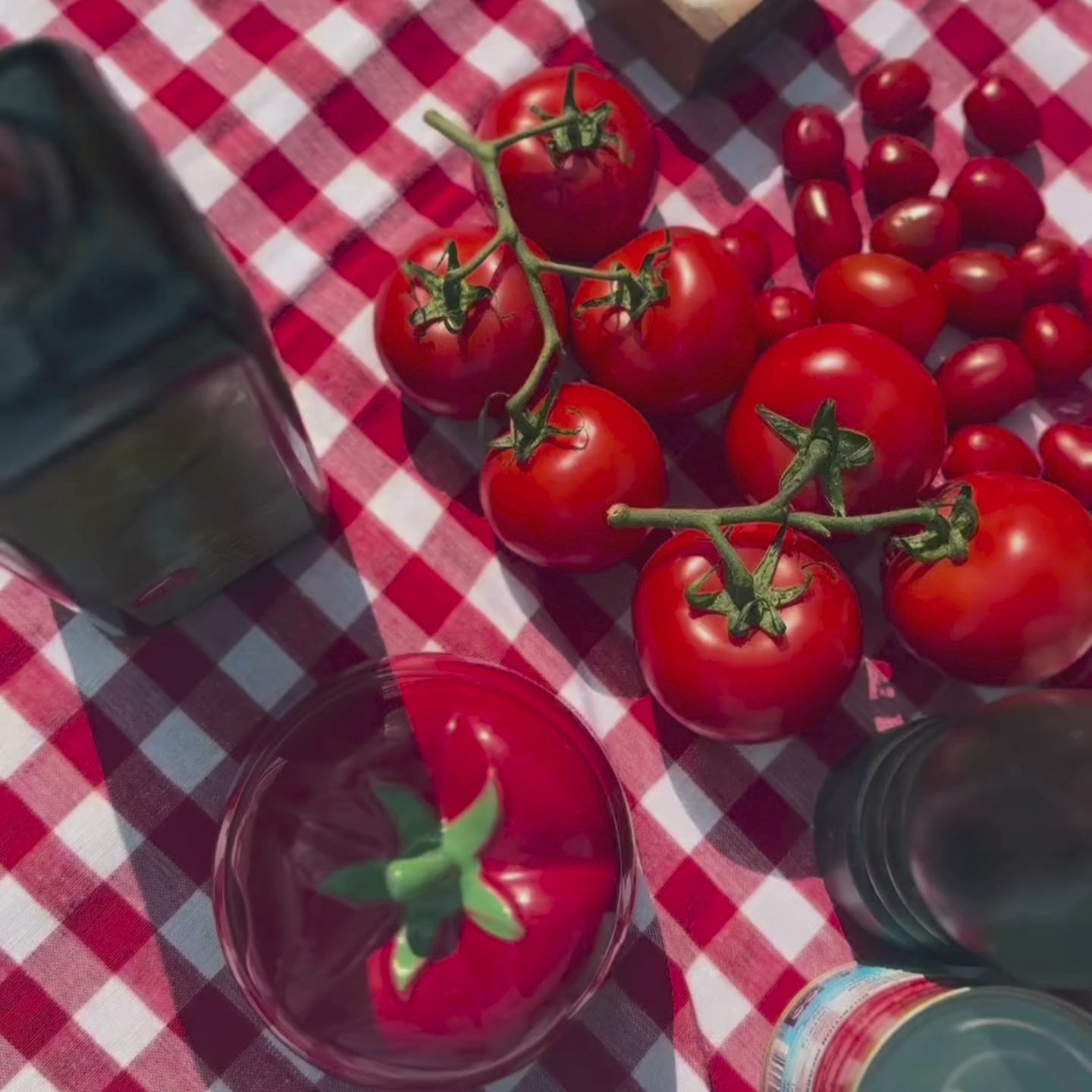 Summer Harvest Tomato Leaves Bundle