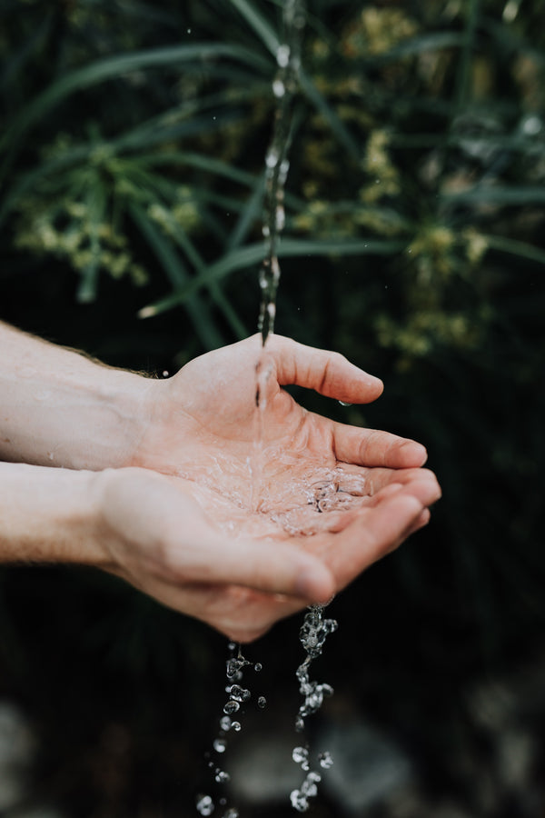 Wattleseed & Lemon Myrtle Hand Wash