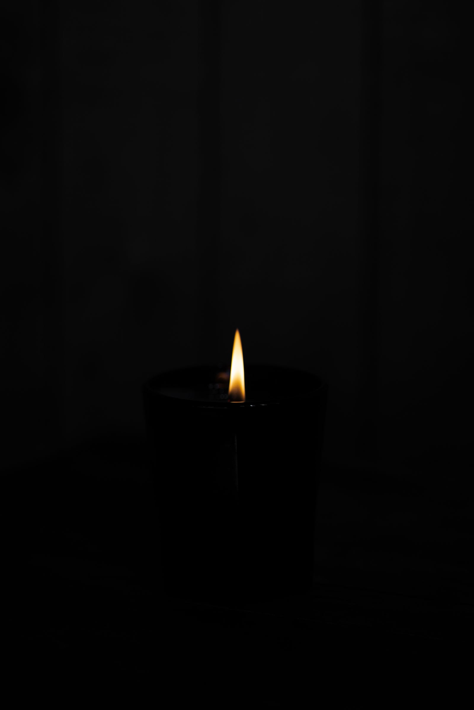 Amipere & Moss Bark Candle